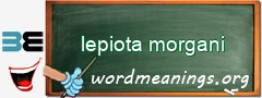 WordMeaning blackboard for lepiota morgani